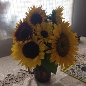 Meet your Posher, Marcee